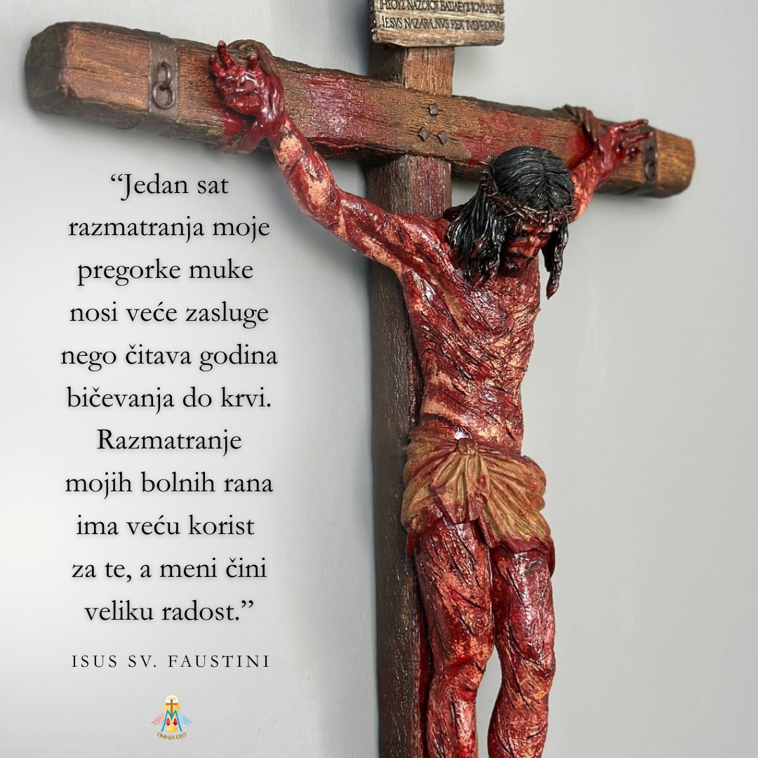 WhatsApp Image 2026 04 03 at 13.37.44